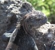 IMG_0537
