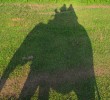 IMG_7775 IMG_7775