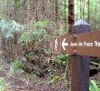 IMG_7638 IMG_7638