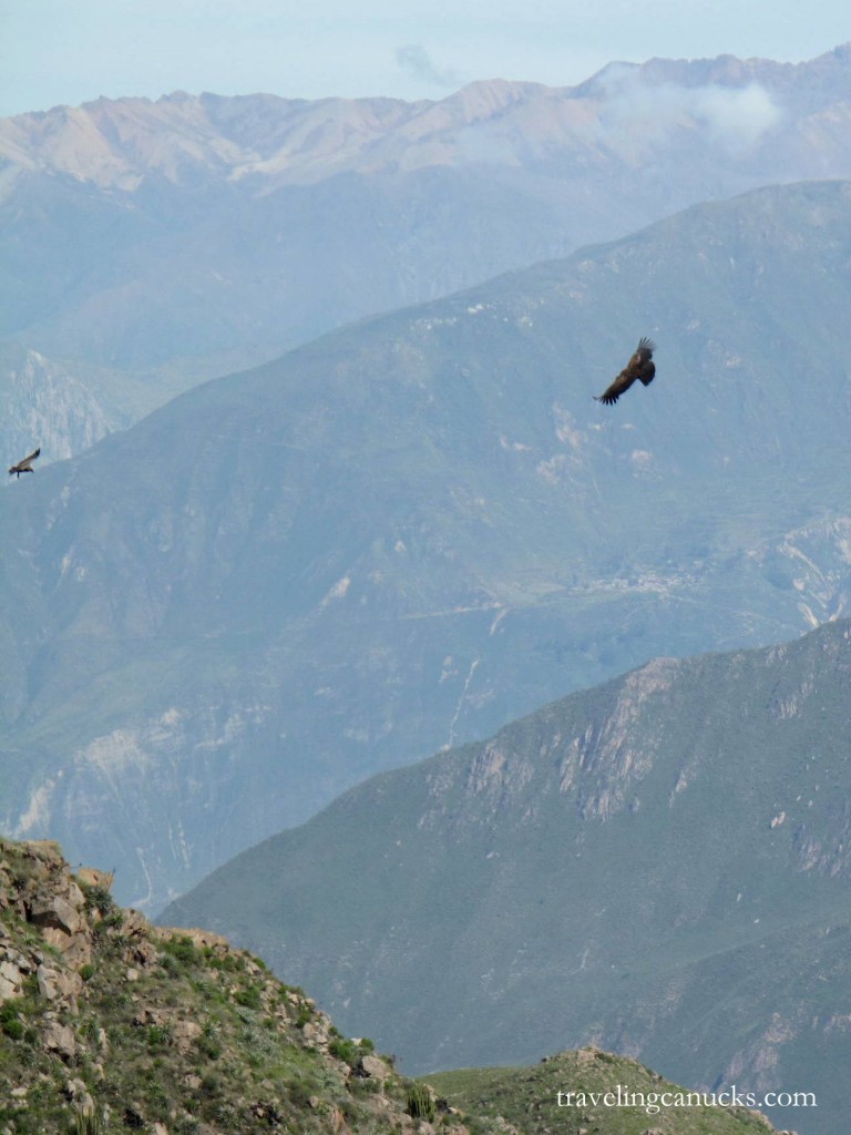 Colca Canyon
