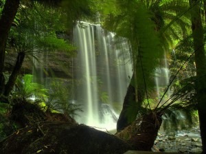Tasmania