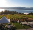Summerhill-Winery-Okanagan Summerhill-Winery-Okanagan