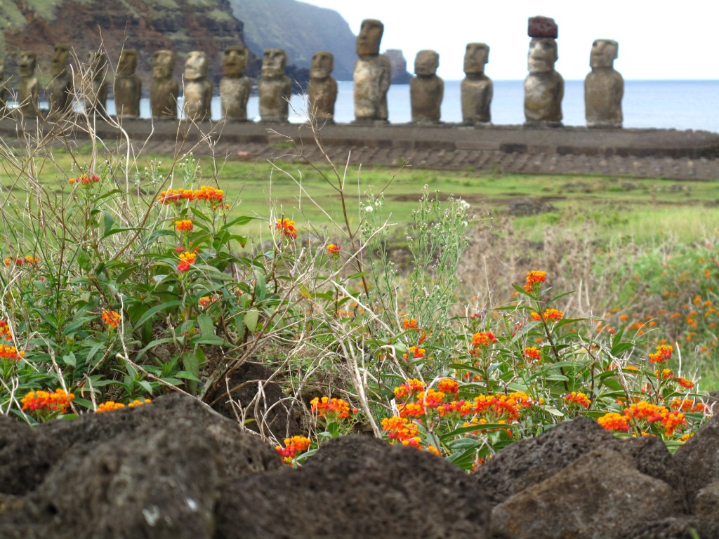 moai-statues-ahu-tongariki-easter-island