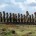Easter-Island-Maoi-Statues