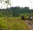 Horseback-Riding-Jungle-Chaa-Creek-Belize Horseback-Riding-Jungle-Chaa-Creek-Belize