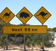 Australia-Road-Sign-Kangaroo