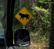 jaguar-sign-guatemala
