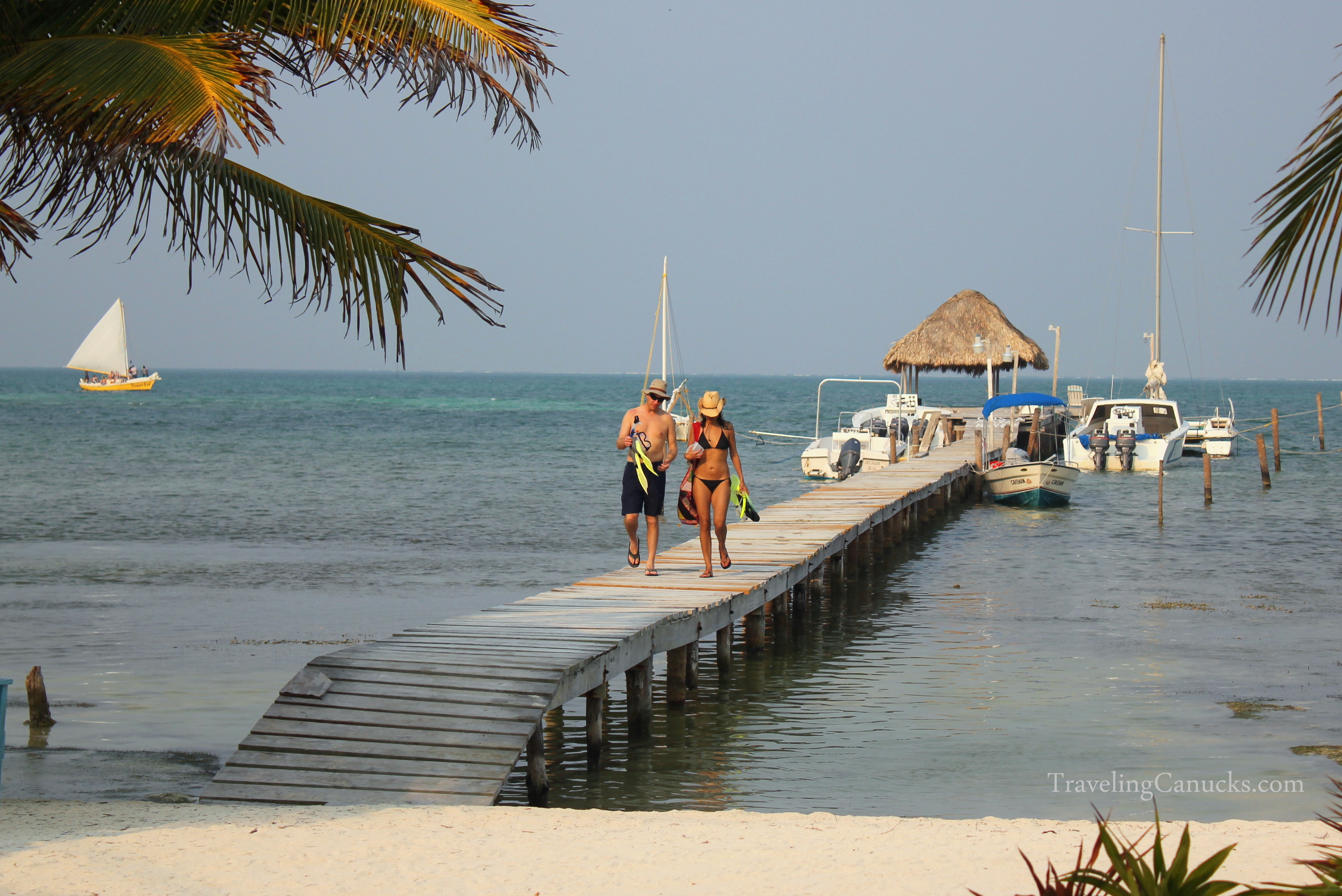 Snorkeling with Sharks, Sting Rays and Manatees in Belize Video from our snorkeling trip to Hol Chan Marine Reserve in the Belize Barrier Reef, where we swam with green turtles, schools of nurse sharks and sting rays, and a pair of lazy manatees!