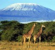 mount-kilimanjaro-tanzania