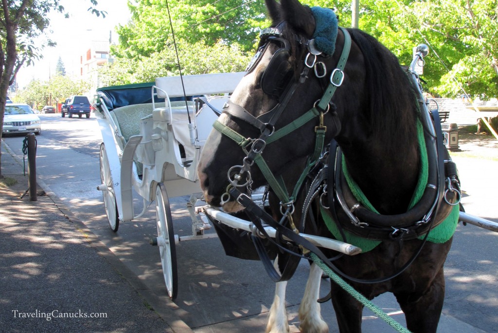 horse-carriage-victoria