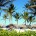 Beach-dominican-republic