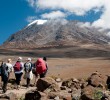 kilimanjaro-uncornered-market