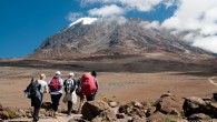 kilimanjaro-uncornered-market kilimanjaro-uncornered-market