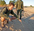 zambia-safari