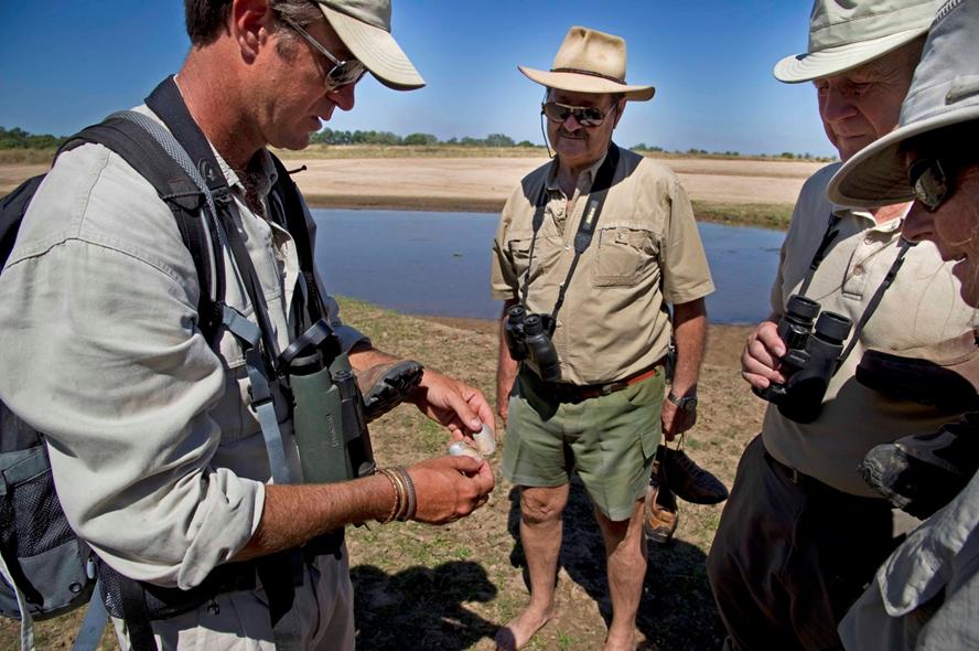 zambia-walking-safari