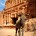donkey-petra-jordan-1