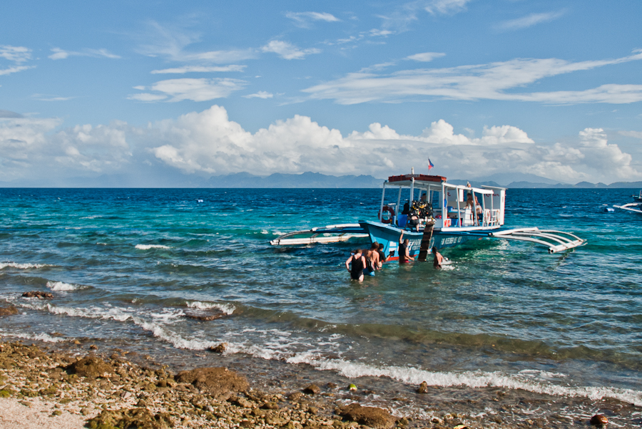 whale-sharks-leyte-philippines-1