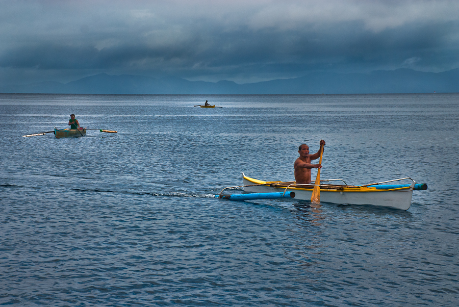 whale-sharks-leyte-philippines-4