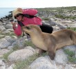 galapagos-islands01
