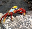 galapagos-islands00