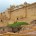 This week's travel photo captures one of the most impressive structures we've come across during our travels - Amber Fort in Jaipur, India
