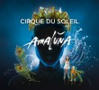 amaluna_800