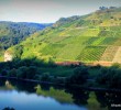 mosel-river-valley01