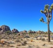 palm-springs-california2
