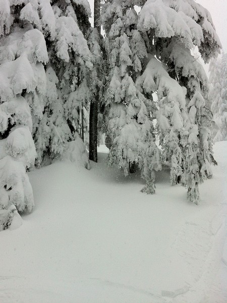 A Snowy White Christmas on Cypress Mountain