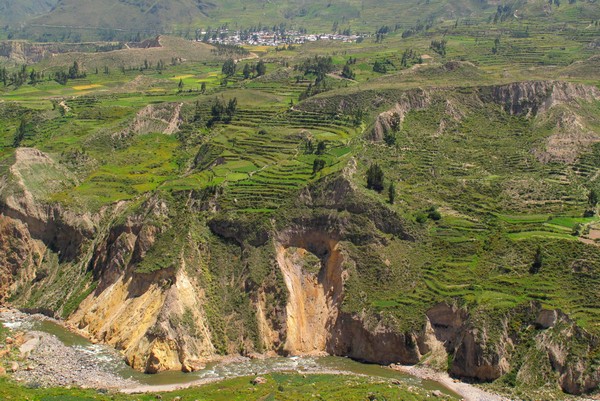 Terraces in the Colca Valley, Peru