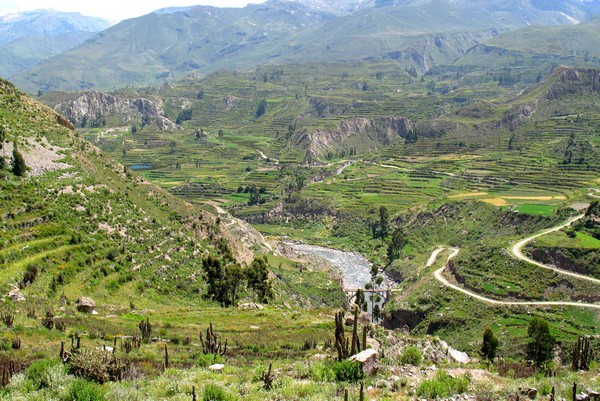 Terraces in Colca Valley, Peru