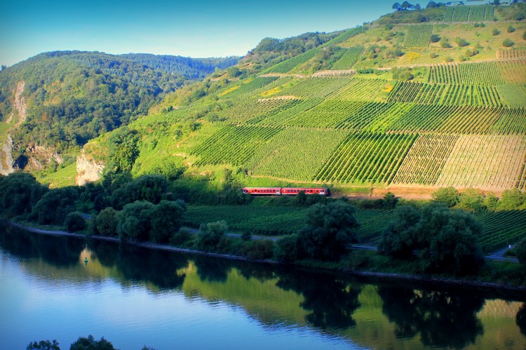 mosel valley tour