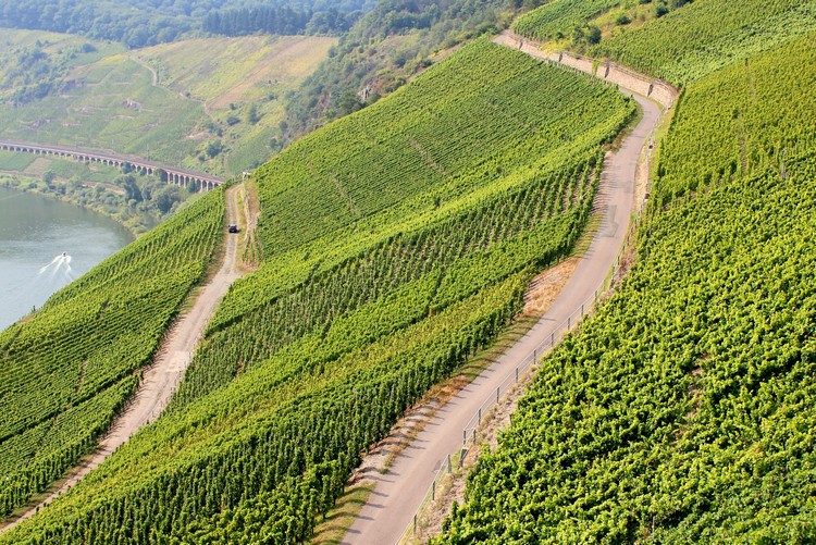 Why You Should Visit The Mosel Valley In Germany This Summer