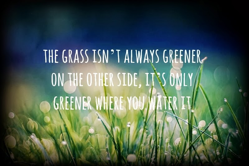 grass-is-green
