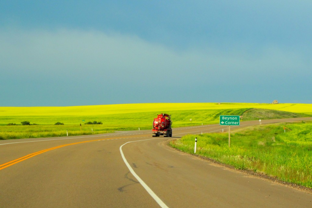 safety tips for your summer family road trips