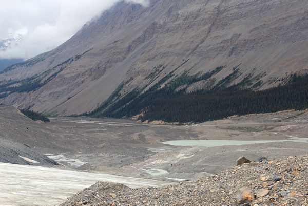 Athabasca Glacier, Jasper, Alberta