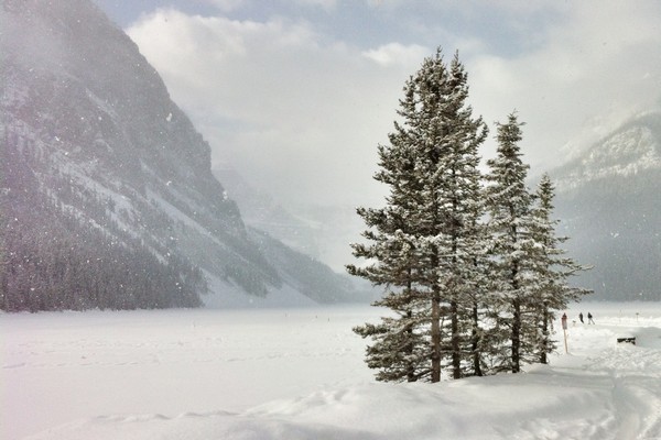 Winter in Banff, Lake Louise, Alberta