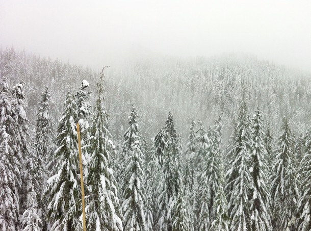 cypress-mountain-winter-snow-05