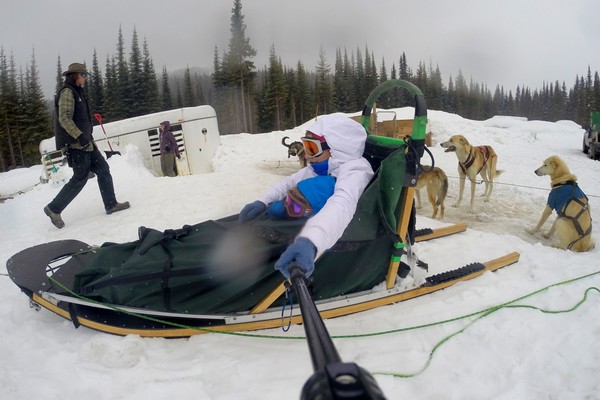 Dog sledding at Sun Peaks Resort, British Columbia, Canada