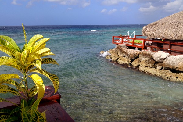De Palm Island, Aruba, Caribbean, Beach