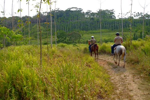 horseback riding in Belize