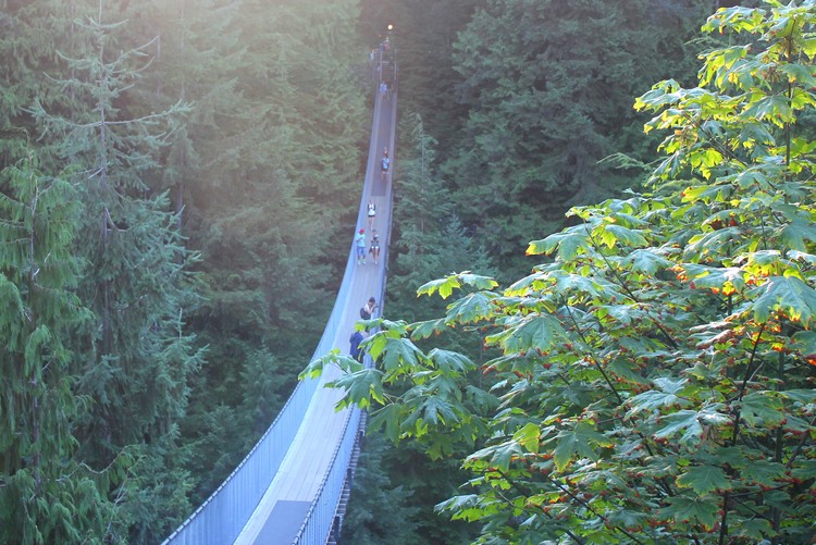 Capilano Suspension Bridge in North Vancouver, BC. Top tourist attraction in Vancouver