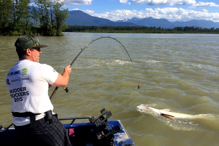 sturgeon fishing, Fraser River, Chilliwack, British Columbia, Canada