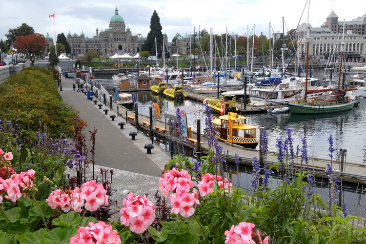 Victoria Inner Harbour, Downtown Victoria Marina, British Columbia, Canada