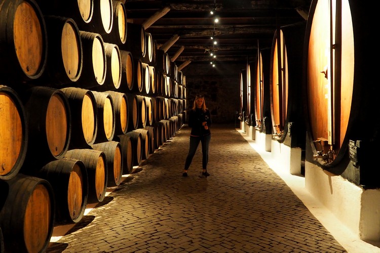 Sandeman cave, port wine cellar, Porto, Portugal