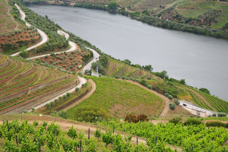 Douro Valley, Portugal River Cruise