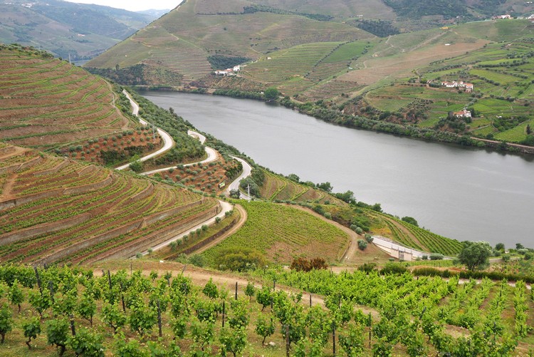 Portugal S River Of Gold 15 Reasons You Should Travel Here   Viking River Cruise Douro Portugal 08 