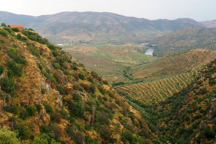 cruise up the douro river