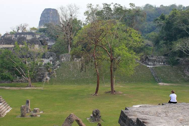 inside Tikal park in the evening with nobody around