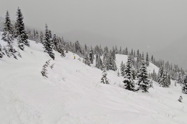 Ski terrain and runs at Sasquatch Mountain Resort British Columbia Canada